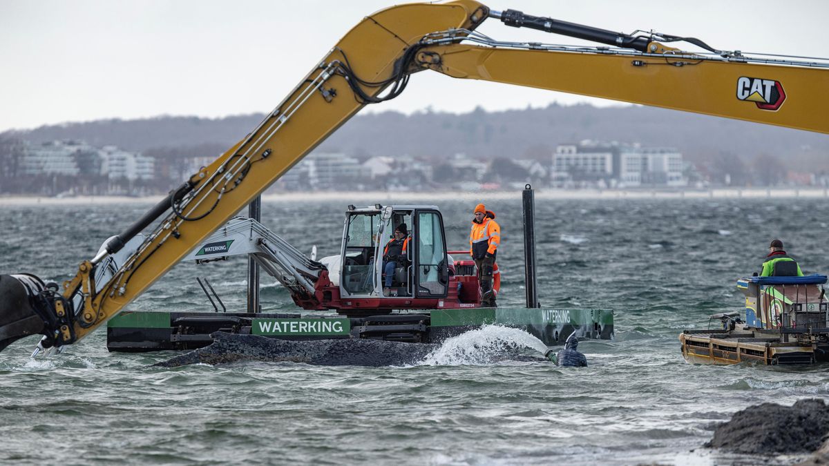 Velryba už podruhé uvázla na německé mělčině